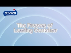 Proceso de envío estricto y normalizado